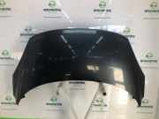 Motorhaube 651000036R Renault Scénic III (JZ) Großraumlimousine 1.5 dCi 110 (K9K-657) 2011-04