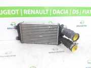 Ladeluftkühler 9824742280 Opel Corsa F (UB/UH/UP) Schrägheck 5-drs 1.2 Turbo 12V 100 (F12XHL(EB2ADTD)) 2022-06