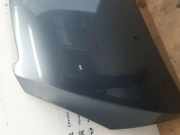 Motorhaube 7901J0 Peugeot 307 CC (3B) Cabrio 2.0 16V (EW10J4(RFN)) 2004-04