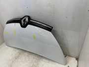 Motorhaube 651004197R Renault Trafic (1FL/2FL/3FL/4FL) Van 2.0 dCi 16V 120 (M9R-710(M9R-V7)) 2021-03