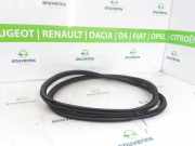 Türgummis Links Vorne 9823214980 Opel Corsa F (UB/UH/UP) Schrägheck 5-drs 1.2 12V 75 (F12XEL(EB2FD)) 2022-11