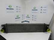 Ladeluftkühler 7701057121 Renault Master II (FD/HD) Van 2.5 dCi 16V 100 (G9U-754) 2005-02