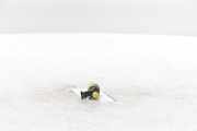 Kraftstoff-Injector 05E906036K Volkswagen Tiguan (CT1) SUV 1.5 eHybrid 272 (DUCA) 2025-08 DUCA