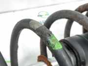 Federbein Links Vorne 5202J2 Fiat Ducato (243/244/245) Van 2.8 JTD (8140.43S) 2006-02