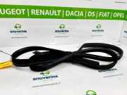 Türgummis Links 8200638077 Renault Twingo II (CN) Schrägheck 1.2 16V (D4F-772) 2008-06