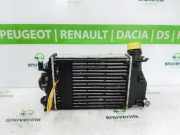 Ladeluftkühler 144614EA1A Renault Megane IV Estate (RFBK) Kombi 5-drs 1.5 Energy dCi 110 (K9K-657) 2016-09