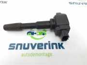 Zündspule 224332428R Renault Megane IV Estate (RFBK) Kombi 5-drs 1.2 Energy TCE 100 (H5F-408(H5F-F4)) 2017-05
