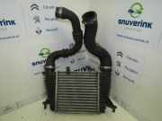 Ladeluftkühler 8200471884 Renault Clio III Estate/Grandtour (KR) Kombi 1.2 16V TCE 100 (D4F-784) 2008-12