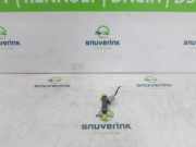 Kraftstoff-Injector 166008494R Renault Captur II (RJB) SUV 1.0 TCe 12V (H4D-450(H4D-B4)) 2020-08