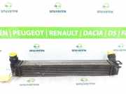 Ladeluftkühler 144961285R Renault Megane III Berline (BZ) Schrägheck 5-drs 1.5 dCi 90 (K9K-H834) 2013-03