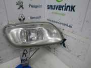 Nebelscheinwerfer Rechts Vorne 6205P1 Peugeot 106 II Schrägheck 1.0 (TU9M-Z(CDZ)) 1997