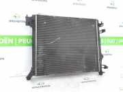 Radiator 214104EB0A Nissan Qashqai (J11) SUV 1.2 DIG-T 16V (HRA2DDT) 2014-11