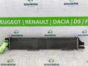 Radiator 214C10001R Opel Movano Van 2.3 CDTi 16V FWD (M9T-716(M9T-F7)) 2022-06