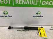 Gasdruckfedern Set Hinten 844301324R Renault Captur (2R) SUV 1.2 TCE 16V EDC (H5F-408(H5F-F4)) 2016-12