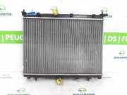 Radiator 9825333380 Peugeot 208 II (UB/UH/UP) Schrägheck 5-drs 1.2 Vti 12V PureTech 100 (EB2ADT(HNK)) 2020-01