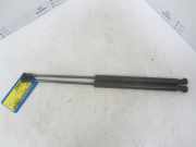 Gasdruckfedern Set Hinten 9650780480 Peugeot 207/207+ (WA/WC/WM) Schrägheck 1.4 HDi (DV4TD(8HR)) 2008-04