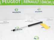Gasdruckfeder Set Vorne 654703934R Renault Clio IV (5R) Schrägheck 5-drs 0.9 Energy TCE 90 12V (H4B-400(H4B-A4)) 2013-09