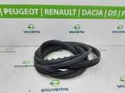 Türgummis Links 1361696080 Fiat Ducato (250) Ch.Cab/Pick-up 2.3 D 130 Multijet (F1AGL411D(Euro 6)) 2011-05
