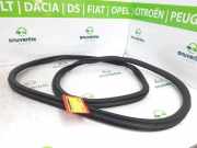 Türgummis Links Vorne 9820823880 DS DS 3/Crossback (UC/UJ/UR) Schrägheck 1.2 12V PureTech 130 (EB2ADTS(HNS)) 2020-07 EB2ADTS(HNS)