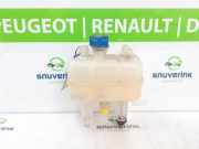 Ausgleichbehälter 1399839080 Fiat Ducato (250) Ch.Cab/Pick-up 2.3 D 150 Multijet (F1AE3481E) 2016-05