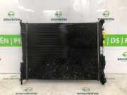 Radiator 8200369307 Renault Twingo II (CN) Schrägheck 3-drs 1.2 16V (D4F-770) 2013-02