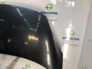 Motorhaube 651000036R Renault Scénic III (JZ) Großraumlimousine 1.5 dCi 110 (K9K-657) 2011-04