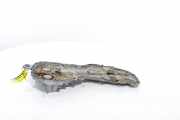 Steuerkette Abdeckung 135022910R Renault Megane IV Estate (RFBK) Kombi 5-drs 1.3 TCE 160 16V (H5H-490(H5H-E4)) 2021-09