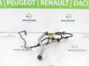Kurbelgehäuseentlüftung C 118263479R Renault Clio V (RJAB) Schrägheck 5-drs 1.0 TCe 100 12V (H4D-472) 2020-10