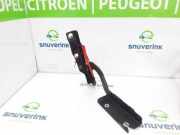 Motorhaubescharnier 791296 Citroën Jumpy (G9) Van 2.0 HDiF 16V 125 (DW10CD(AHZ)) 2014-07