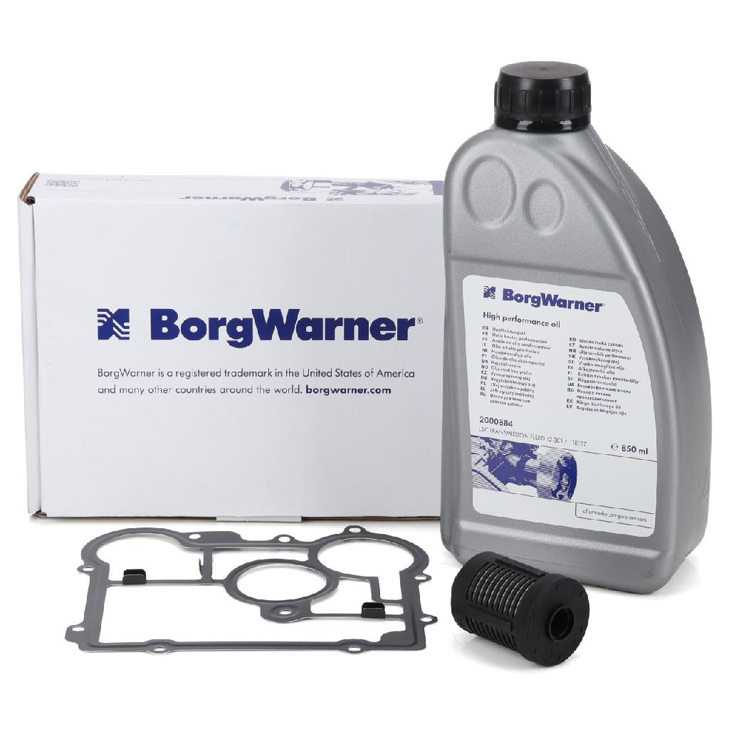 BorgWarner Hydraulikfilter, Lamellenkupplung (Allradantrieb) DS2006273 + Öl, Lamellenkupplung (Allradantrieb) DS2000884