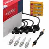 NGK Zündkerze 6422 BREMI Zündleitungssatz 626