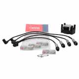 NGK Zündkerze 7968 BREMI Zündleitungssatz 939C200 DELPHI Zündspule GN10018-12B1