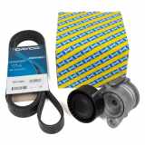 DAYCO Keilrippenriemen 6PK1836S SNR Spannrolle, Keilrippenriemen GA350.65