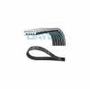 DAYCO Keilrippenriemen 5PK1230 SNR Spannrolle, Keilrippenriemen GA353.59 Bild DAYCO Keilrippenriemen 5PK1230 SNR Spannrolle, Keilrippenriemen GA353.59