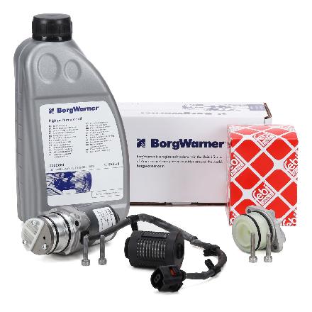 BorgWarner Pumpe, Lamellenkupplung (Allradantrieb) DS119866 + Öl, Lamellenkupplung (Allradantrieb) DS2000884 FEBI BILSTEIN Hydraulikfilter, Lamellenkupplung (Allradantrieb) 177922