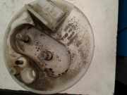 Kraftstoffpumpe Elektrisch Alfa Romeo 146 (930B) Schrägheck 5-drs 1.9 JTD (AR32.302) 2000