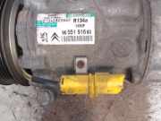 Klima Pumpe 9655191680 Citro?n C3 (FC/FL/FT) Schr?gheck 5-drs 1.6 16V (TU5JP4(NFU)) 2006 TU5JP4(NFU)