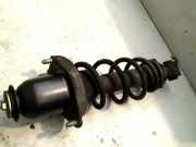 Federbein Hinten Toyota Celica (ZZT230/231) Coupé 1.8i 16V (1ZZFE) 2001