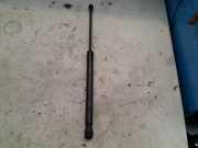 Gasdruckfeder Vorne Volkswagen Caddy III (2KA,2KH,2CA,2CH) Van 1.9 TDI (BLS) 2004 BLS