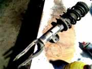 Federbein Rechts Vorne 50557511 Alfa Romeo Stelvio (949) SUV 2.9 Bi-Turbo V6 24V Q4 (670050436(Euro 6)) 2019