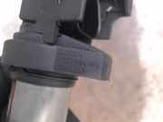 Zündung 0221504100 BMW X5 (E53) SUV 3.0 24V (M54-B30(306S3)) 2004