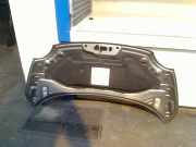 Motorhaube Fiat 500 (312) Schrägheck 1.2 (169.A.4000(Euro 5)) 2010