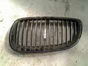 Grill BMW 3 serie (E92) Coupé 316i 16V (N43-B16A) 2009