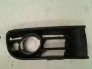 Stoßstangengitter 6Q0853666C Volkswagen Polo IV (9N1/2/3) Schrägheck 1.4 16V (BKY) 2004 BKY