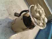 Kraftstoffpumpe Elektrisch Fiat Stilo (192A/B) Schrägheck 1.2 16V (188.A.5000) 2002