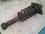 Federbein Hinten Volkswagen Passat Variant (3B6) Kombi 1.9 TDI 130 (AVF(Euro 3)) 2002