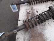 Federbein Hinten Volvo S40 (VS) Limousine 1.8 16V (B4184S2) 2002