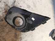 Stoßstangengitter Renault Twingo II (CN) Schrägheck 3-drs 1.2 16V (D4F-764(D4F-E7)) 2011