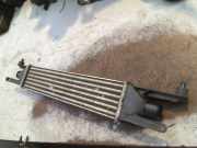Ladeluftkühler Fiat Grande Punto (199) Schrägheck 1.3 JTD Multijet 16V (199.A.2000) 2010