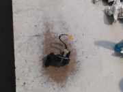 Airbag Schleifring 7700840099F Renault Kangoo Express (FC) Van 1.5 dCi 65 (K9K-700) 2006
